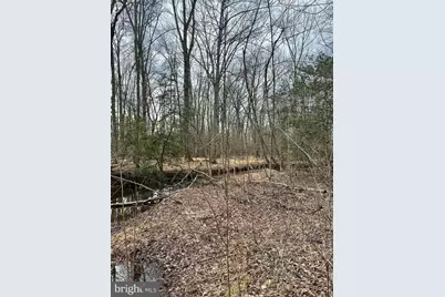 9680 Adams Willett Road, Nanjemoy, MD 20662 - Photo 11