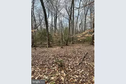 9680 Adams Willett Road, Nanjemoy, MD 20662 - Photo 7