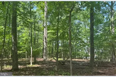 4580 Spencer Place, Nanjemoy, MD 20662 - Photo 9