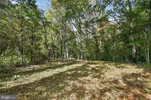 7532 Bumpy Oak Rd, La Plata, MD 20646 - Photo 39