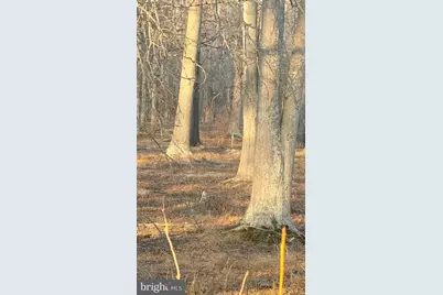 412 Indian Head Hwy, Indian Head, MD 20640 - Photo 3