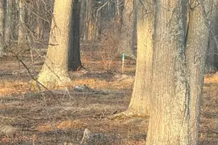 412 Indian Head Hwy, Indian Head, MD 20640 - Photo 3