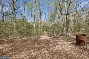 4800 Blueberry Dr, Brandywine, MD 20613 - Photo 21