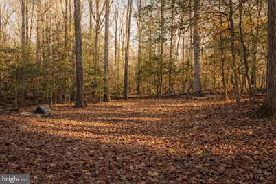 0 Oak Avenue, La Plata, MD 20646 - Photo 17