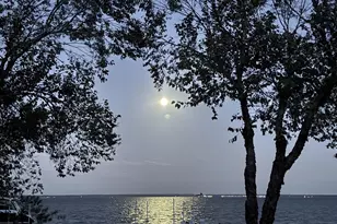 11610 Bachelors Hope Ct, Issue, MD 20645 - Photo 15