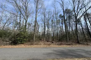 Lot 8A Park Ave, White Plains, MD 20695 - Photo 1