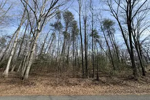 Lot 9A Park Ave, White Plains, MD 20695 - Photo 1