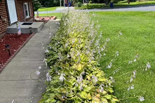 10205 Ford Terrace, White Plains, MD 20695 - Photo 17