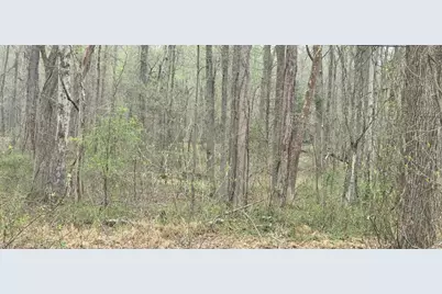 Keech Road, Charlotte Hall, MD 20622 - Photo 1