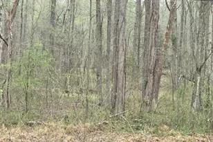 Keech Rd, Charlotte Hall, MD 20622 - Photo 1