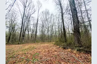 Keech Road, Charlotte Hall, MD 20622 - Photo 3