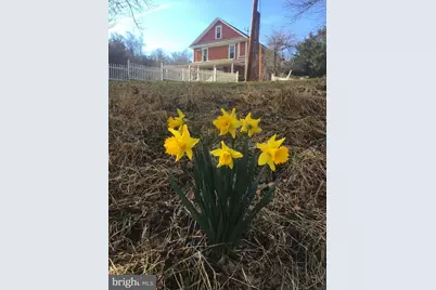 19 Walnut Hill Road, La Plata, MD 20646 - Photo 65