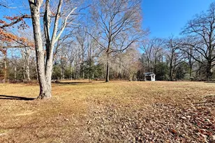 10322 Charles St, La Plata, MD 20646 - Photo 59