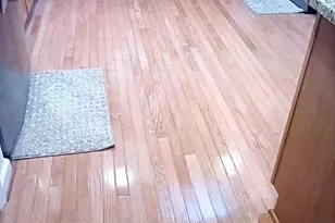 5325 Wildlife Pl, Pomfret, MD 20675 - Photo 17