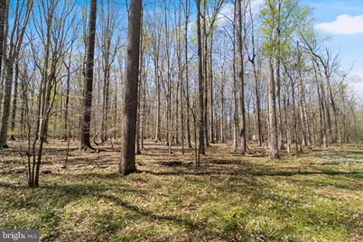 Lot 14 Billingsley Road, White Plains, MD 20695 - Photo 1