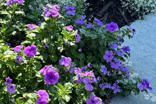 7406 Robin Rd, La Plata, MD 20646 - Photo 87