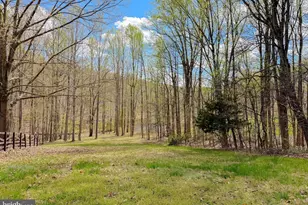 6305 Cool Springs Farm Ct, La Plata, MD 20646 - Photo 61