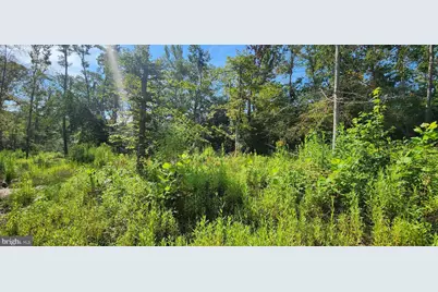 Hawthorne, La Plata, MD 20646 - Photo 19