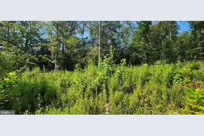 Hawthorne, La Plata, MD 20646 - Photo 21