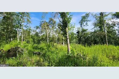 Hawthorne, La Plata, MD 20646 - Photo 23
