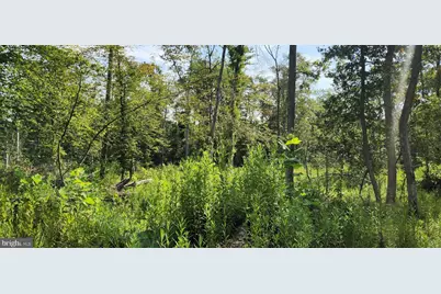 Hawthorne, La Plata, MD 20646 - Photo 19