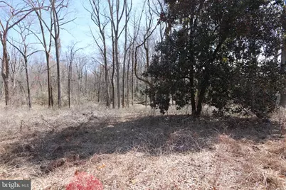 11225 Raby Road, Waldorf, MD 20601 - Photo 3