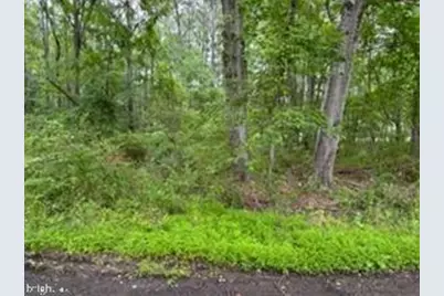 0 Swann Point Road, Newburg, MD 20664 - Photo 3