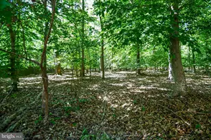 8870 Brook Dr, Waldorf, MD 20603 - Photo 45