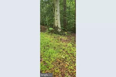 Poorhouse Road, Port Tobacco, MD 20677 - Photo 3