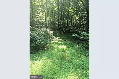 Locust Grove Drive, Port Tobacco, MD 20677 - Photo 5