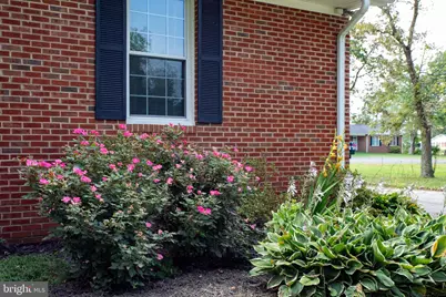7349 Mary Drive, Port Tobacco, MD 20677 - Photo 97