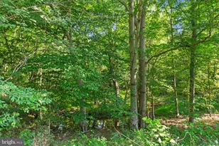 2159 Marbella Dr, Waldorf, MD 20601 - Photo 27