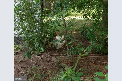 12126 Riverview Drive, Newburg, MD 20664 - Photo 73