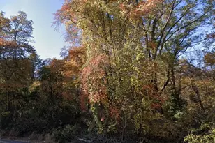 River Rd, Bryans Road, MD 20616 - Photo 1