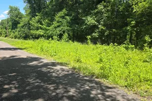 Jermaine Pl, Waldorf, MD 20603 - Photo 11