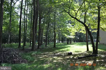12575 Shore Place, Nanjemoy, MD 20662 - Photo 15