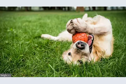 10346 Yosemite St, White Plains, MD 20695 - Photo 15