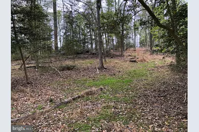 9045 Genevieve Drive, White Plains, MD 20695 - Photo 5