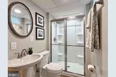 4610 Chapel Springs Place, Pomfret, MD 20675 - Photo 53