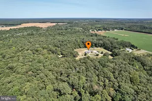 15184 Jarrell Rd, Goldsboro, MD 21636 - Photo 69