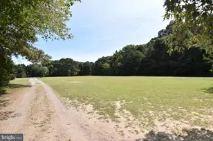 15184 Jarrell Rd, Goldsboro, MD 21636 - Photo 65