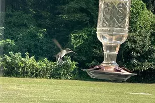 15184 Jarrell Rd, Goldsboro, MD 21636 - Photo 79