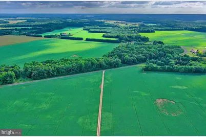 Iron Gate Road, Federalsburg, MD 21632 - Photo 21