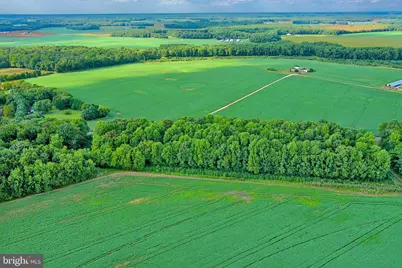 Iron Gate Road, Federalsburg, MD 21632 - Photo 43