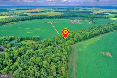 Iron Gate Road, Federalsburg, MD 21632 - Photo 39