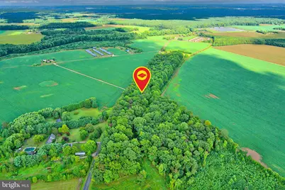 Iron Gate Road, Federalsburg, MD 21632 - Photo 35