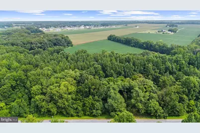 Burnt Mill Road, Ridgely, MD 21660 - Photo 3