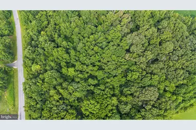 Burnt Mill Road, Ridgely, MD 21660 - Photo 7