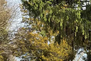 22005 Main St, Hillsboro, MD 21641 - Photo 73