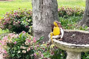 22005 Main St, Hillsboro, MD 21641 - Photo 25